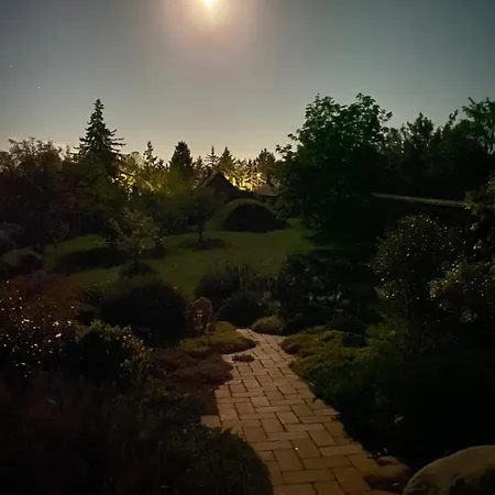 Aura